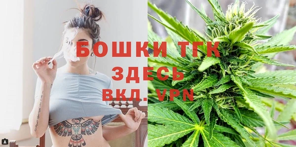 стафф Майский