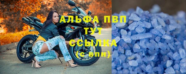 стафф Майский